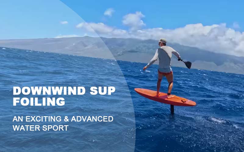 What is downwind SUP Foiling sport