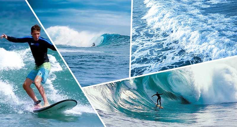 Surfing Terms Learnning  The Basic Skill For Beginners